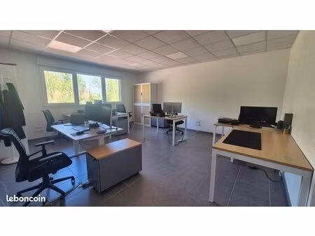 à louer – bureaux professionnels de 225 m² – castanet-tolosan (zone de vic)