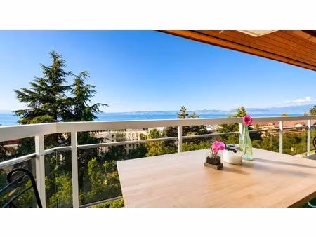 appartement t2 vue léman avec balcon - evian