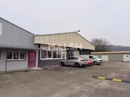 vente local d’activités pont d ain 01160 805m²