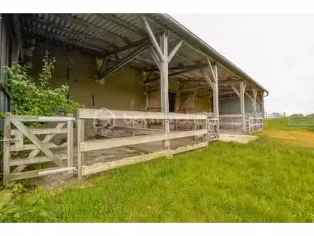 maison de 160 m² à nubecourt