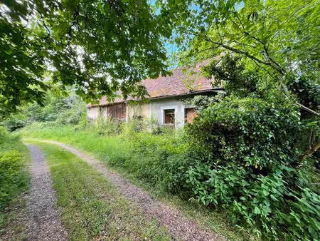 vente maison 3 pièces 38 m² à lourdoueix-saint-michel (36140)  18 000 €