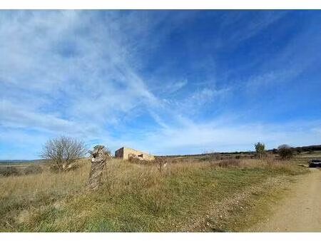 achat terrain 45 000m² caux 34720