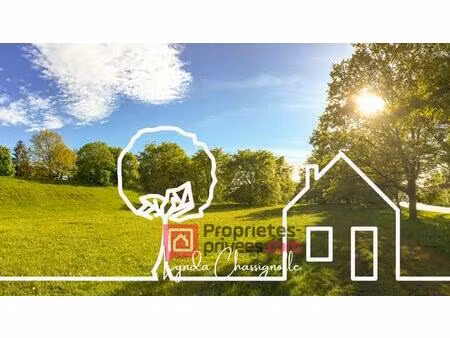 achat terrain 1 100m² renaison 42370
