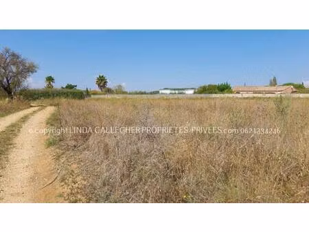terrain agricole en friche  proche 34120 pezenas 9343 m2