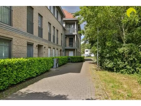 appartement te koop in edegem met 1 slaapkamer