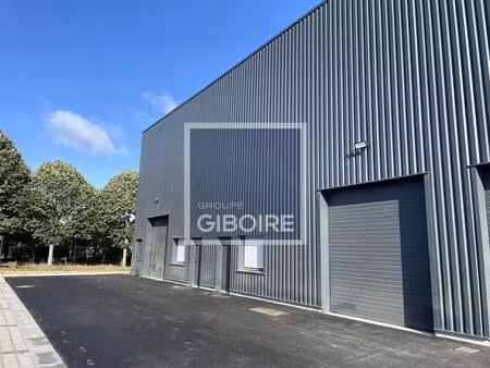 location entrepôt thorigne fouillard 35235 175m²
