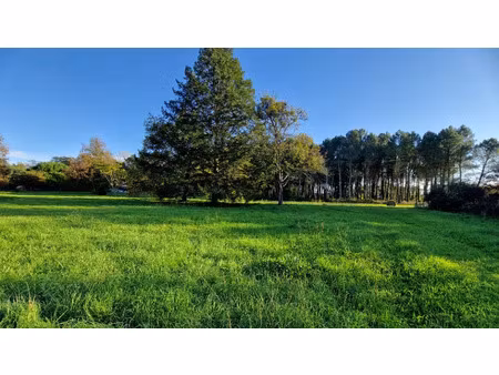 vente terrain 1600 m² uzeste (33730)