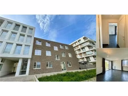 appartement à louer à ganzendries 7 hoboken (rbv86226)