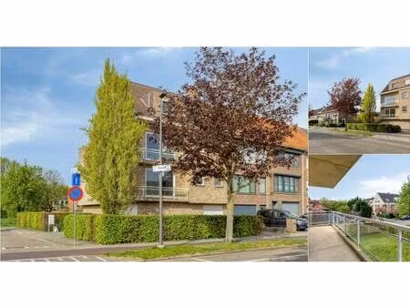 appartement à louer à valaardreef 23a wilrijk (rbv86201)