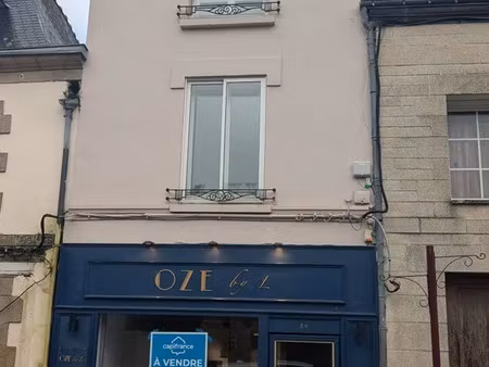 vente immeuble 230 m² guémené-sur-scorff (56160)