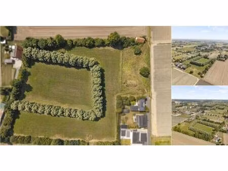 terrain à vendre de 23239 m² à izegem (rbv85957)