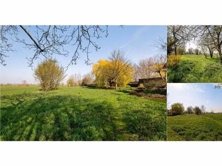 terrain à vendre à beerveldestraat 35 lokeren (rbv86050)