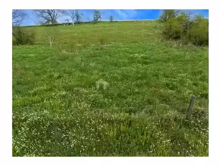 terrain à lotir à vendre à rue du ry d'aoÛt yvoir (vbe20277)