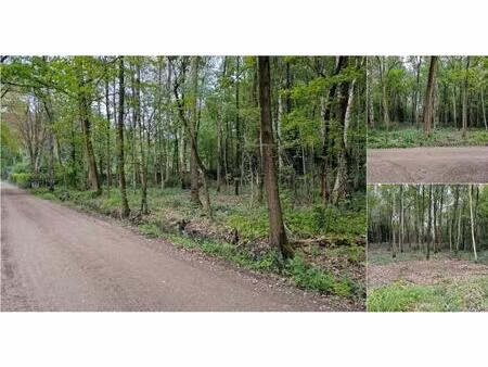 terrain à vendre à hazenpad 9 essen (rbv86076)