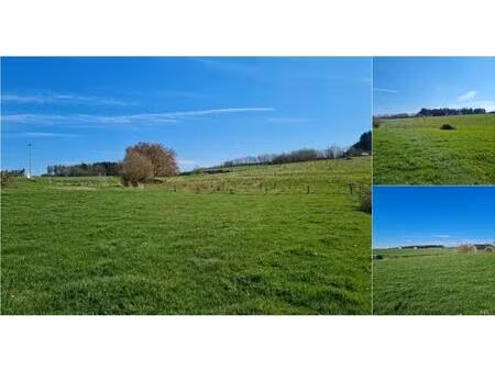 terrain à bâtir à vendre à mierchamps 299g la roche-en-ardenne (vwd17466)