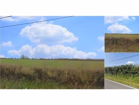 terrain à bâtir à vendre à rue de la fortelle 156t momignies (vwd17464)