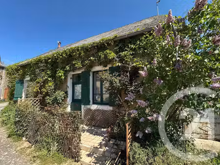 achat : maison (58120)