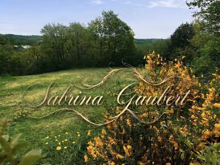 vente terrain à arques (12290) : à vendre / 2400m² arques
