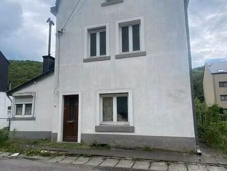 lot 1 immeuble de rapport centre de la roche-en-ardenne