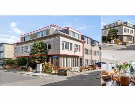 immeuble de rapport à vendre à caputsteenstraat 77 malines (rbv86153)