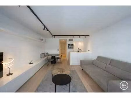 meublé - appartement 2 chambres confortable et rénové  idéa