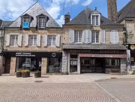 immeuble à vendre guemene sur scorff 11 pièce(s) 300m2 260 000€