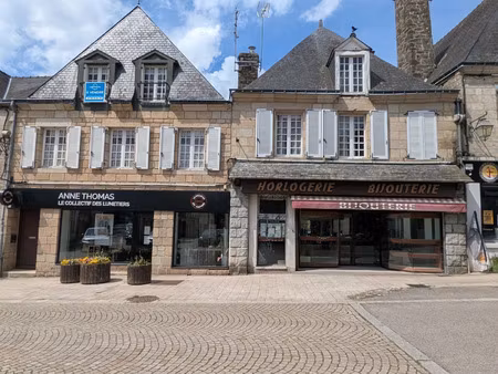 immeuble à vendre guemene sur scorff 11 pièce(s) 300m2 290 000€
