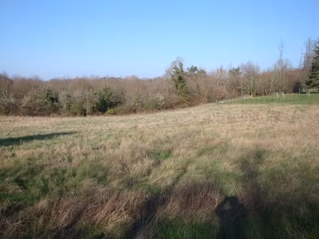 terrain à vendre champcevinel (24)
