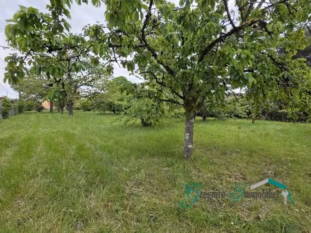 montigny sur loing : terrain à bâtir 732 m2