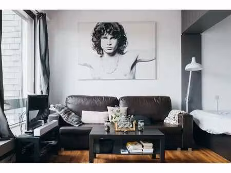 appartement meublé rénové lumineux à ixelles