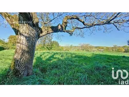vente terrain à allaire (56350) : à vendre / 1037m² allaire