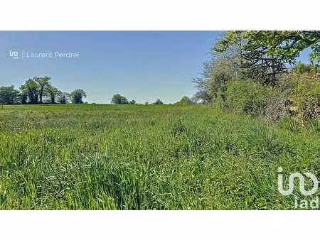 vente terrain à allaire (56350) : à vendre / 1687m² allaire