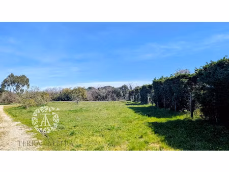 vente terrain 3250 m² à laroque-des-albères (66740)  399 000 €