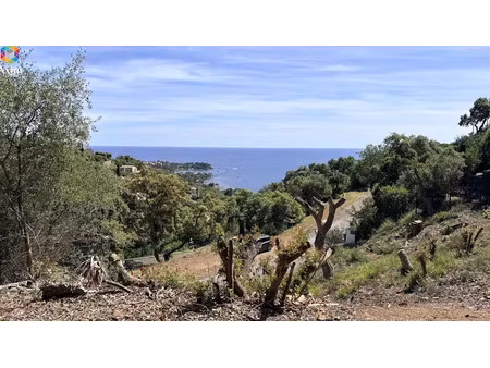 vente terrain 1356 m² à saint-raphael (83700)  990 000 €