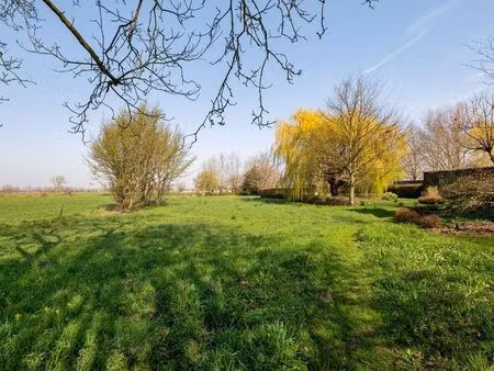 terrain à vendre à lokeren € 329.000 (lo1yp) - heylen vastgoed - dendermonde | zimmo