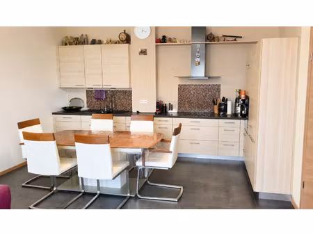 appartement cosy 3 pièces à volgelsheim