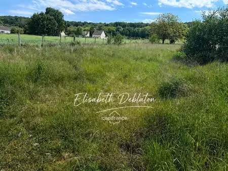 terrain à vendre de 1 006 m² cuts (60)