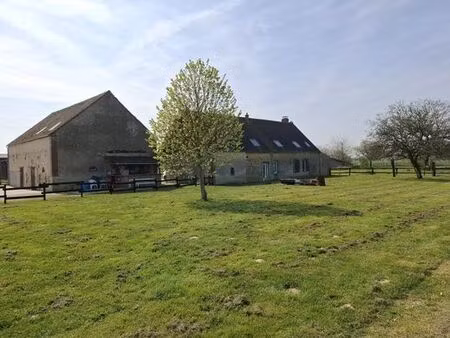 maison de luxe en vente à douchy  france