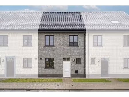 huis te huur in lauwe met 3 slaapkamers