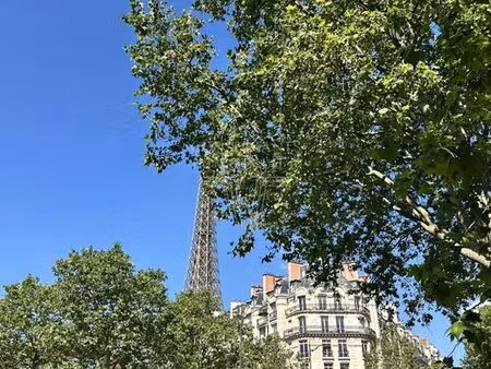 appartement de 2 chambres de luxe à tour eiffel  invalides – ecole militaire  saint-thomas