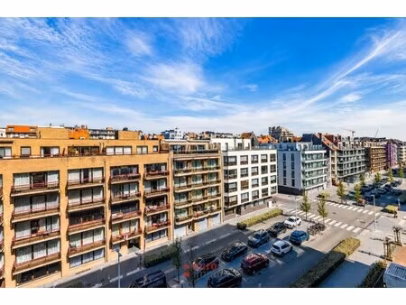 appartement te koop in nieuwpoort