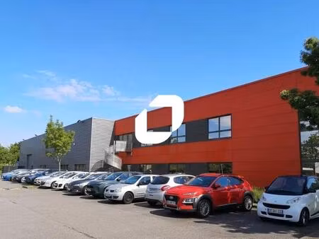 location local d’activités saint priest 69800 1794m²