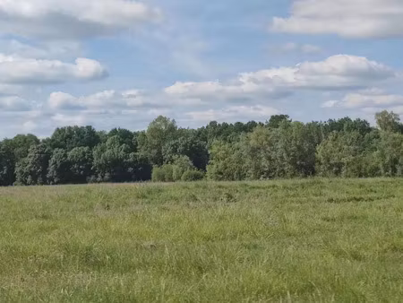 vente terrain à construire 500 m² loupes (33370)