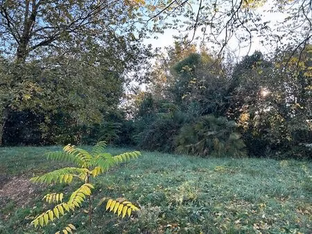 vente terrain à construire 550 m² montussan (33450)