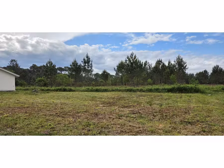 vente terrain à construire 518 m² parentis-en-born (40160)