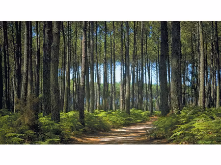 vente terrain à construire 690 m² pissos (40410)