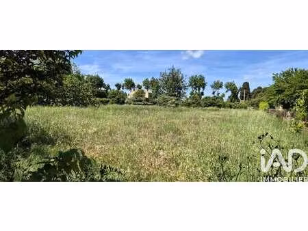 vente terrain à thézan-des-corbières (11200) : à vendre / 2695m² thézan-des-corbières