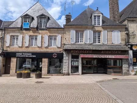 vente immeuble 300 m² guémené-sur-scorff (56160)