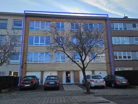 huis te koop in antwerpen met 14 slaapkamers