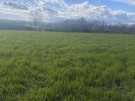terrain constructible viabilisé à vendre